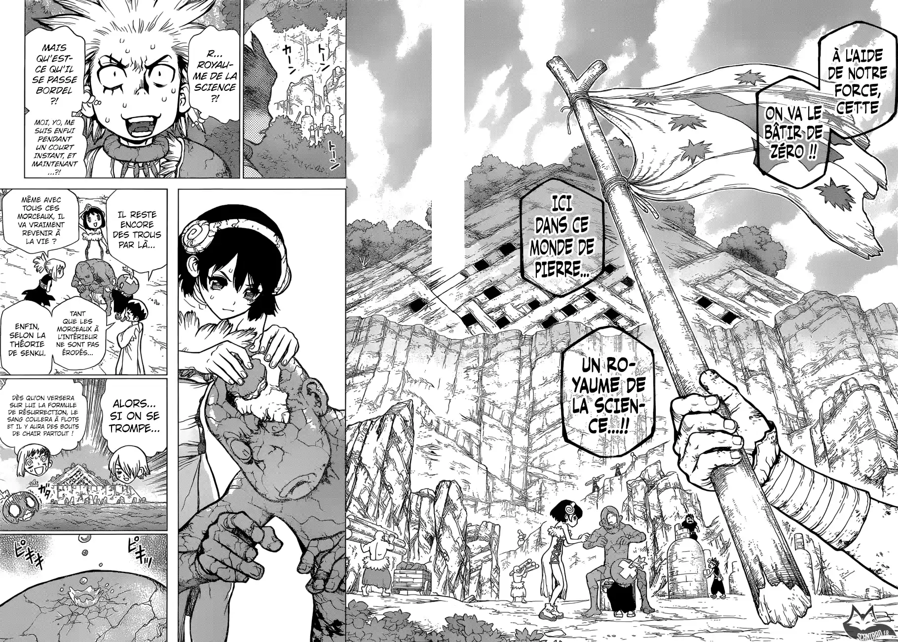 Read Dr. Stone FR Manga Online