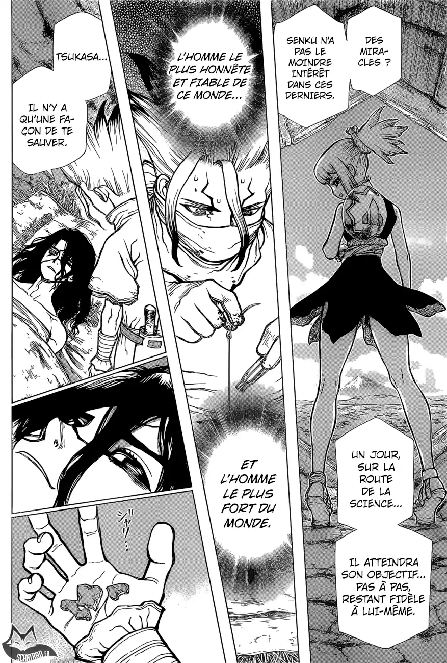 Read Dr. Stone FR Manga Online