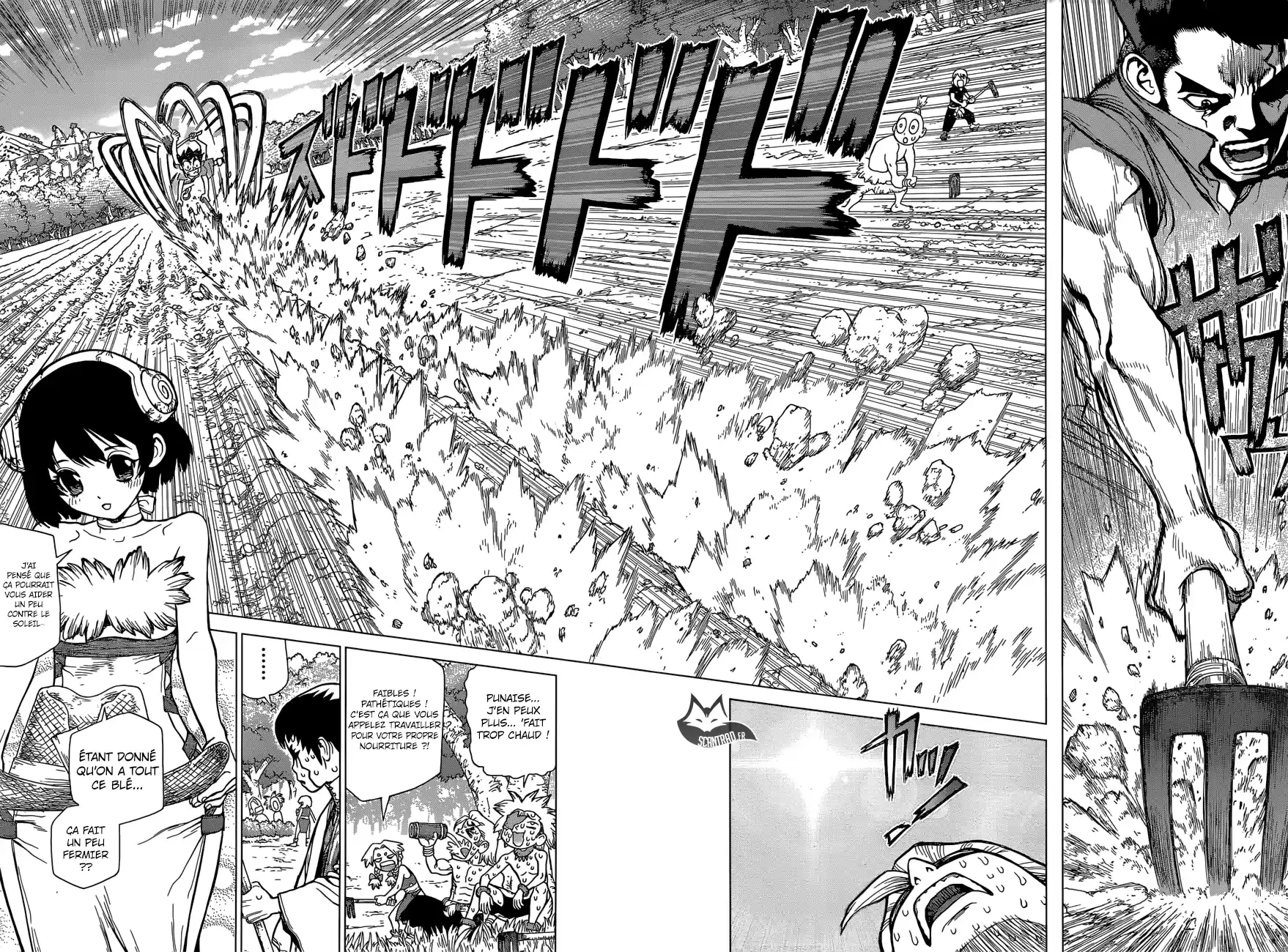 Read Dr. Stone FR Manga Online