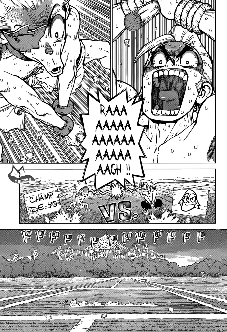 Read Dr. Stone FR Manga Online