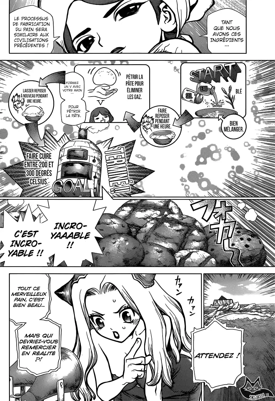 Read Dr. Stone FR Manga Online
