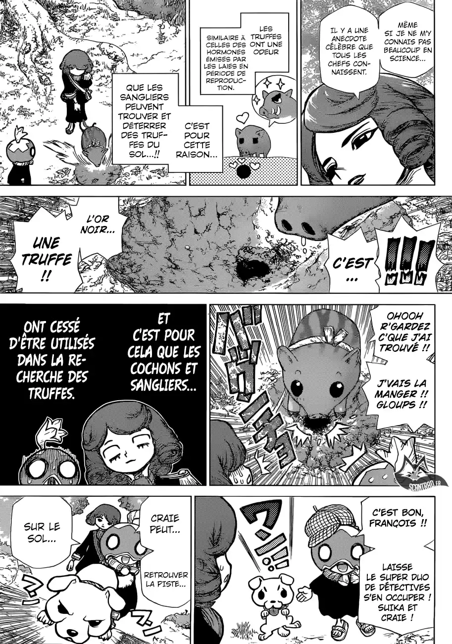 Read Dr. Stone FR Manga Online