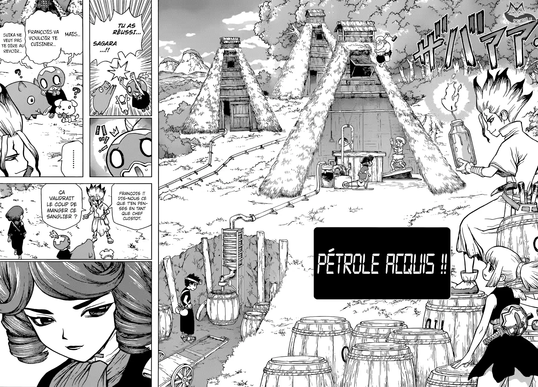 Read Dr. Stone FR Manga Online