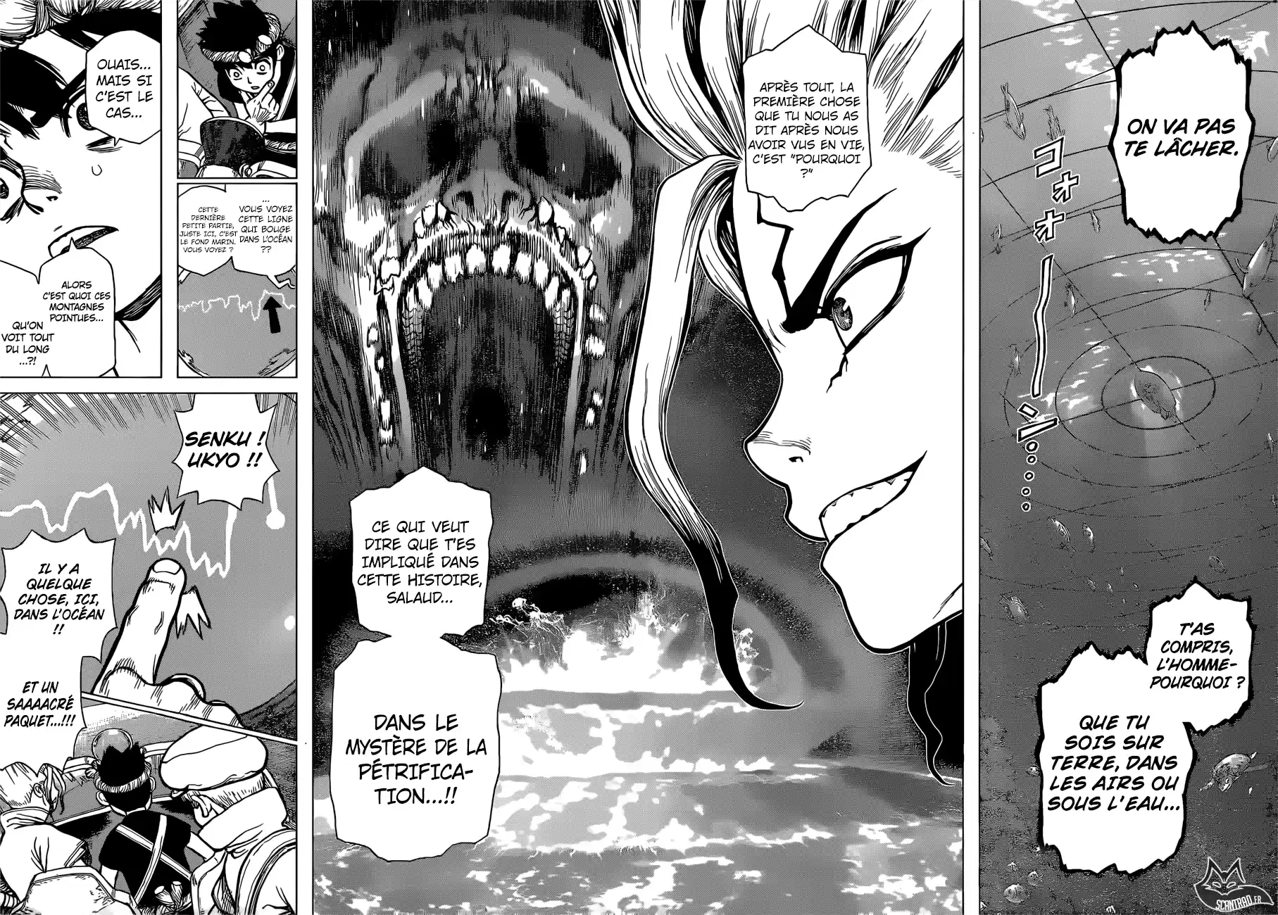 Read Dr. Stone FR Manga Online