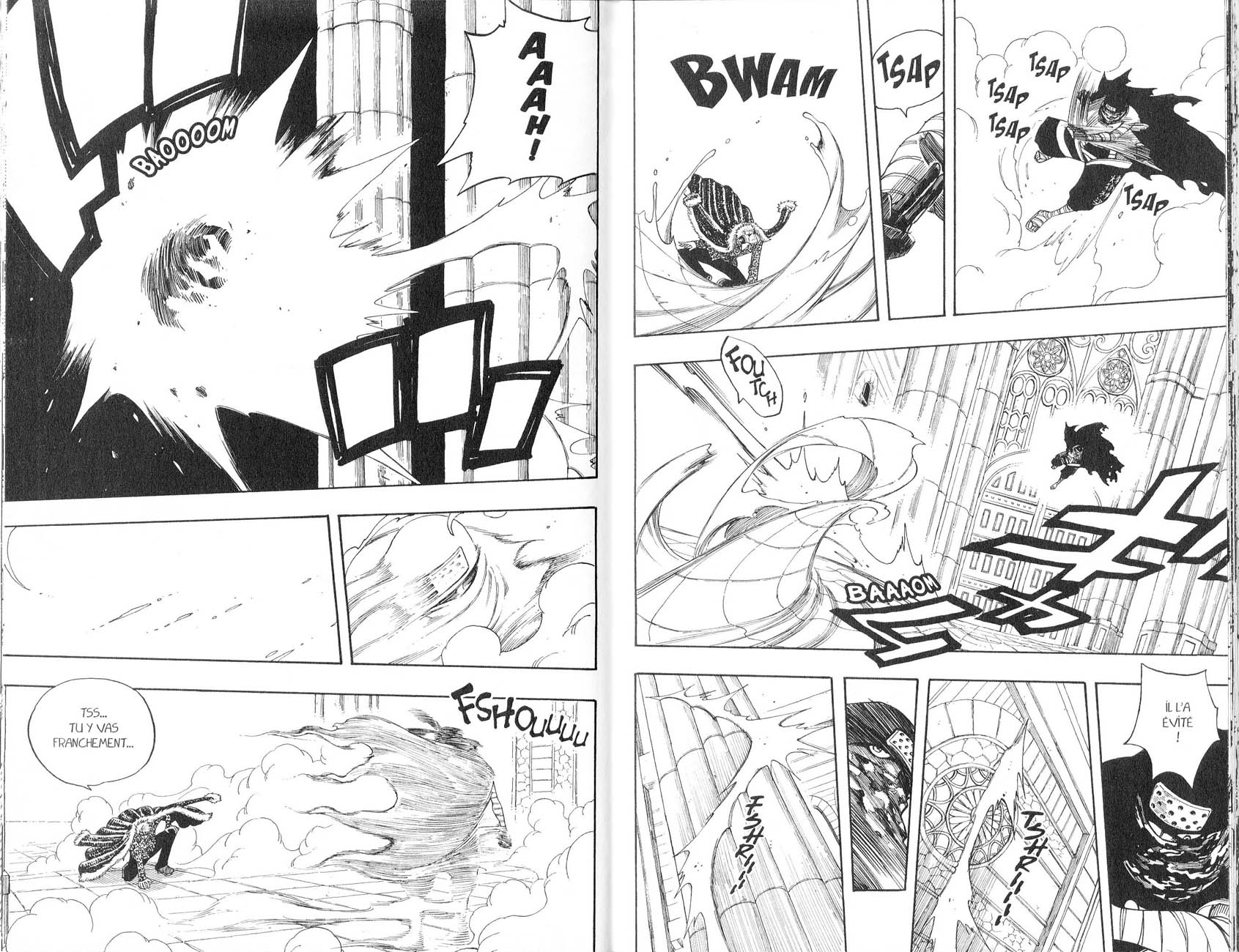 Read Fairy Tail FR Manga Online