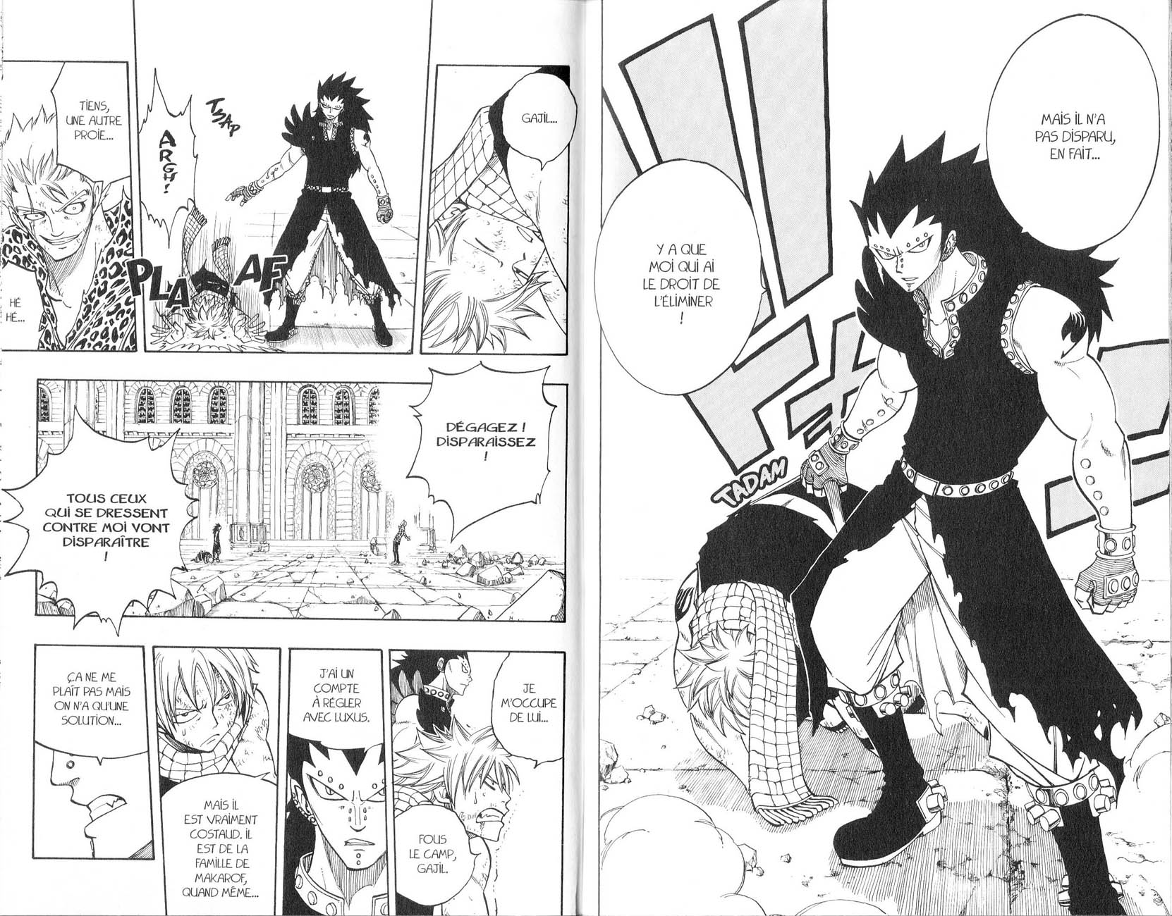 Read Fairy Tail FR Manga Online