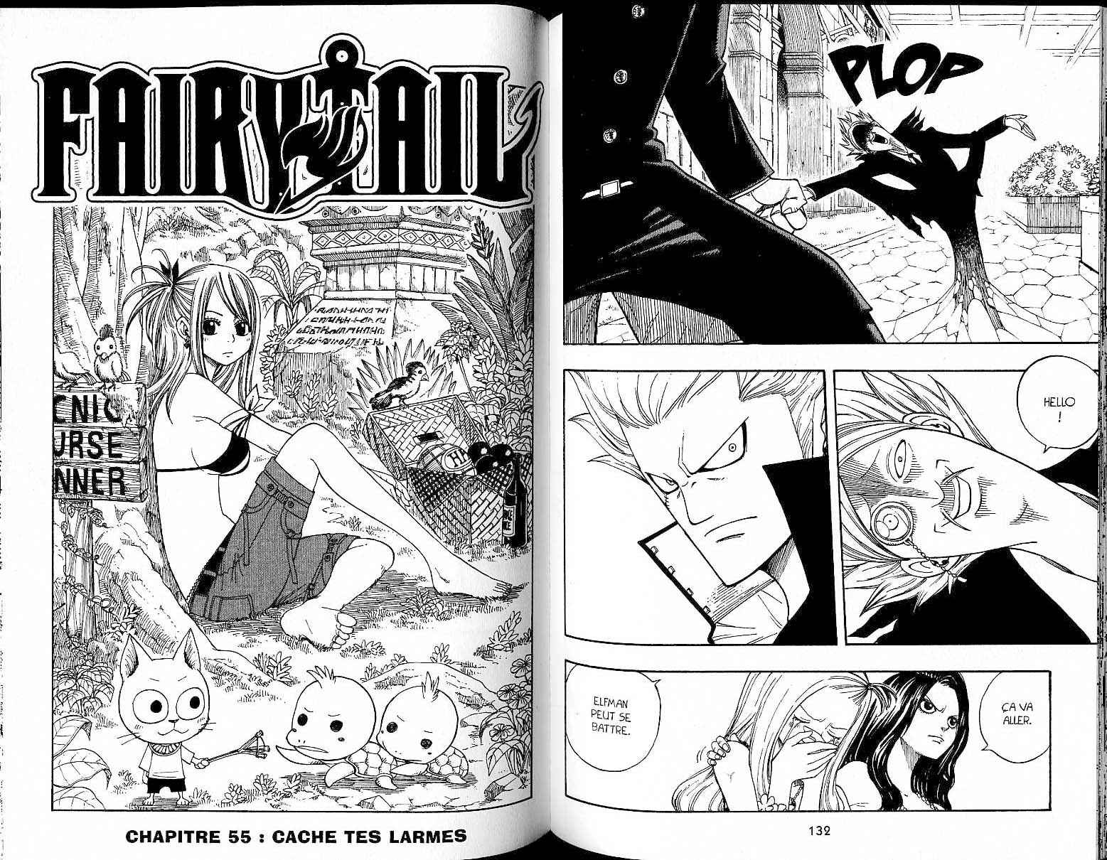 Read Fairy Tail FR Manga Online