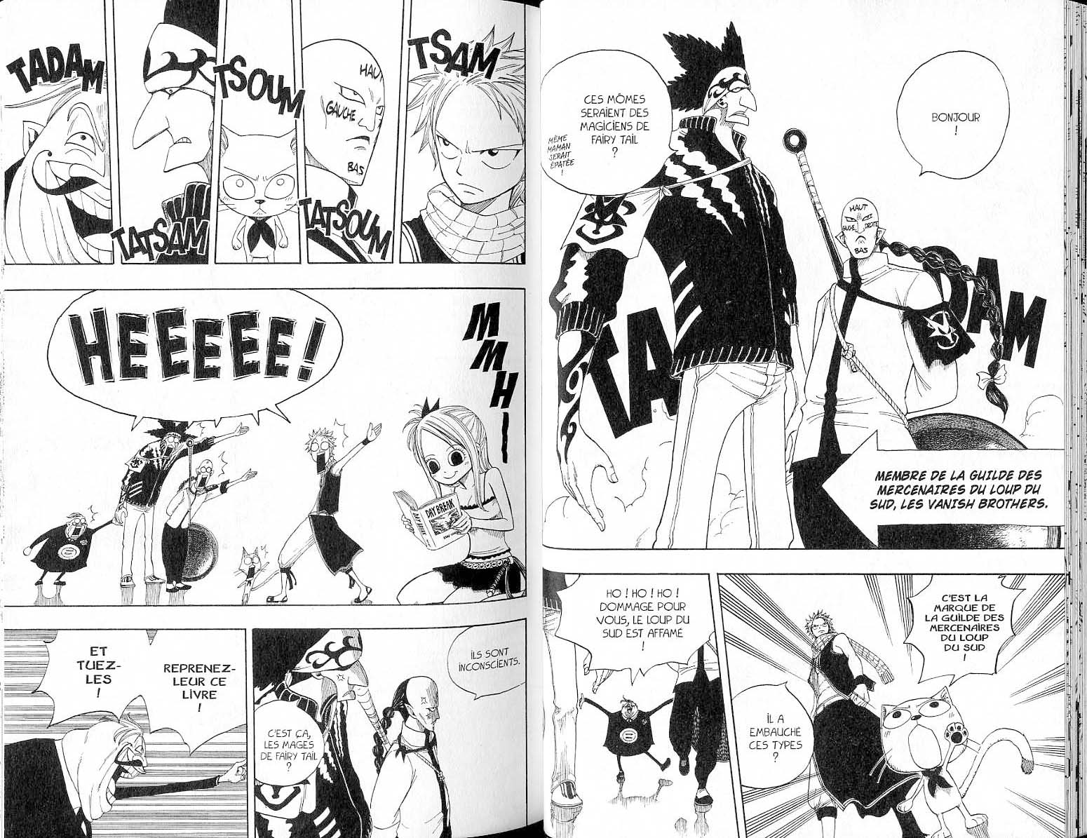 Read Fairy Tail FR Manga Online