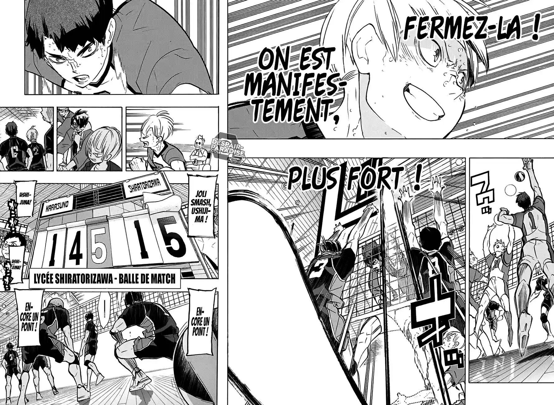 Read Haikyuu FR Manga Online