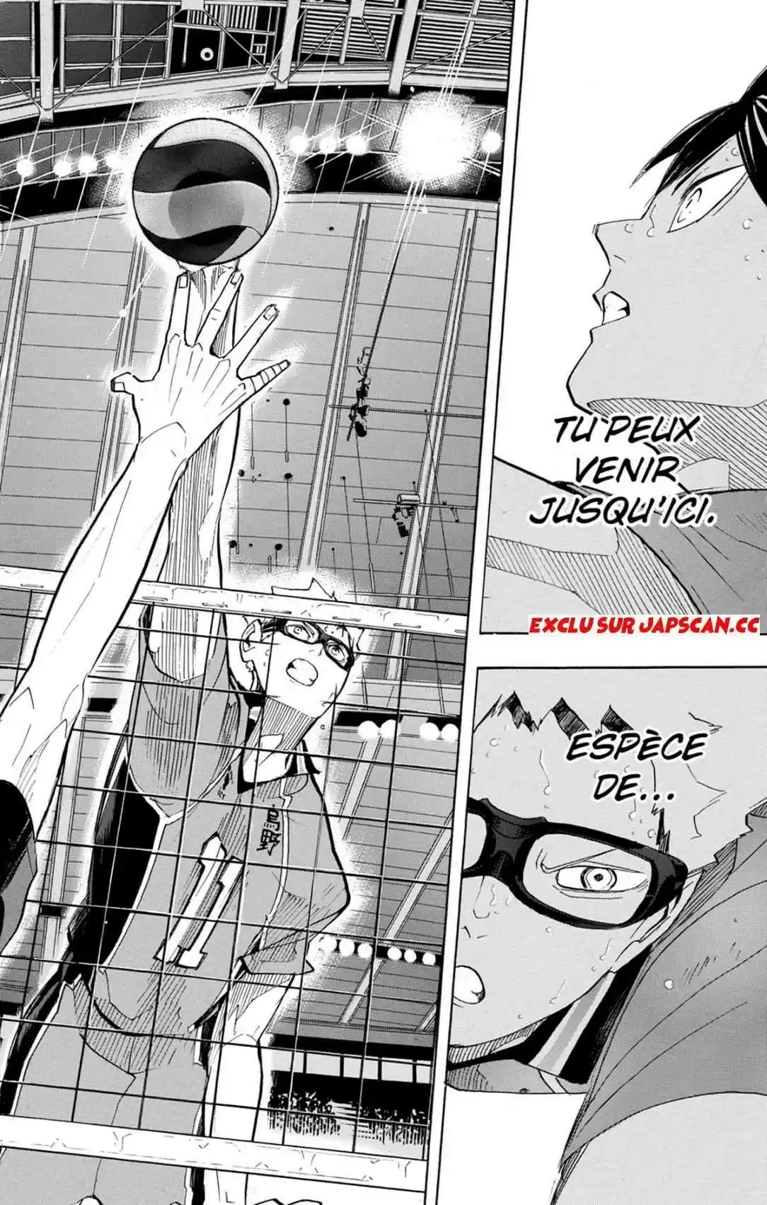 Read Haikyuu FR Manga Online