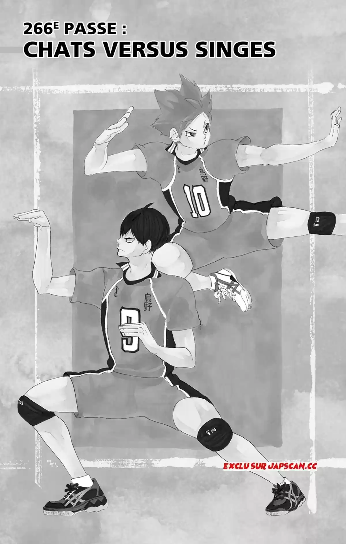 Read Haikyuu FR Manga Online