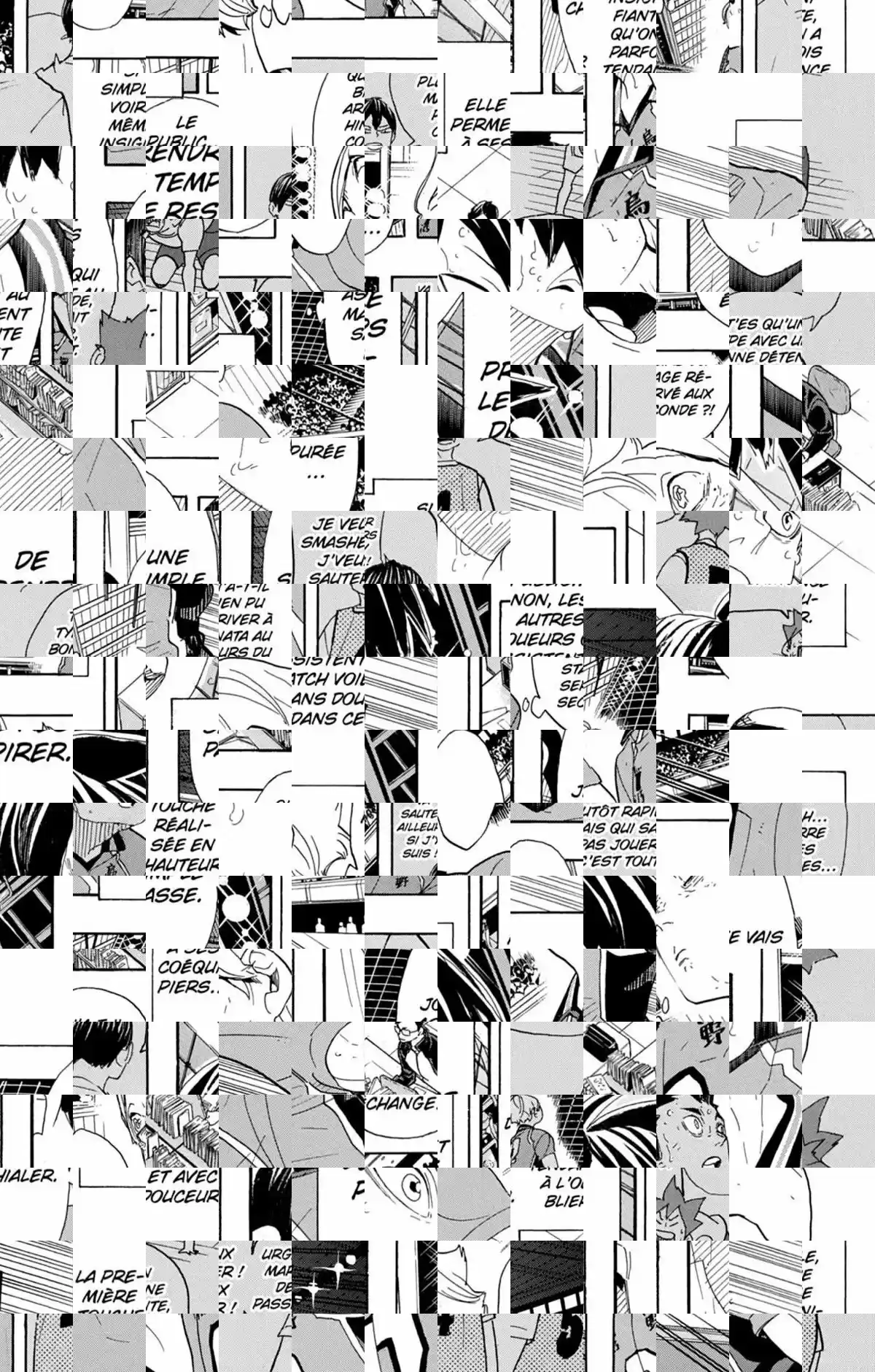 Read Haikyuu FR Manga Online