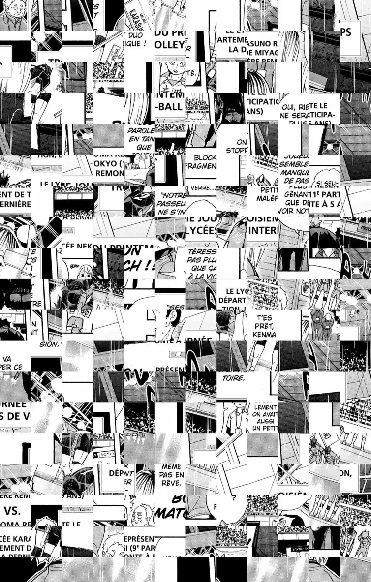 Read Haikyuu FR Manga Online