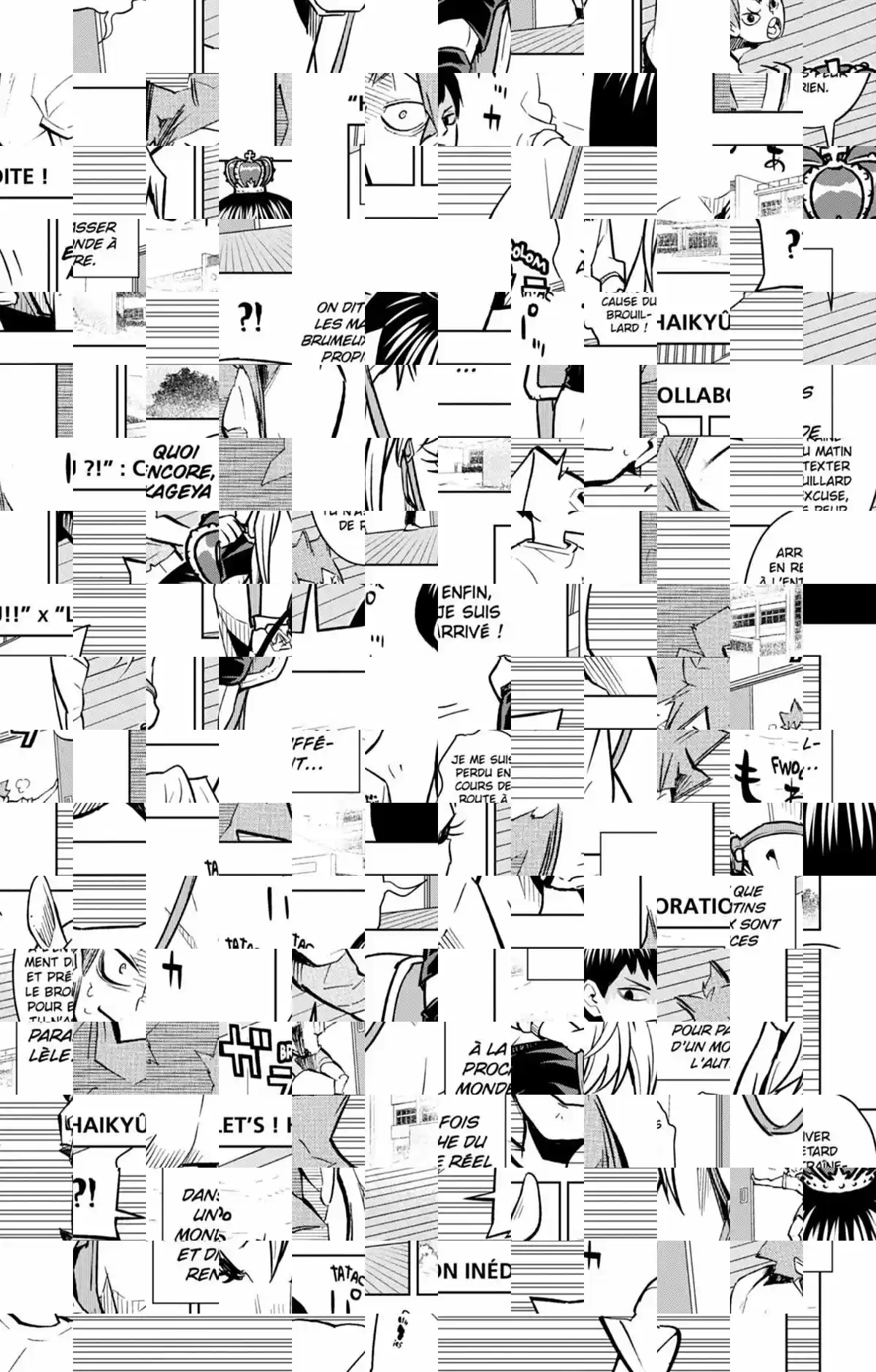 Read Haikyuu FR Manga Online