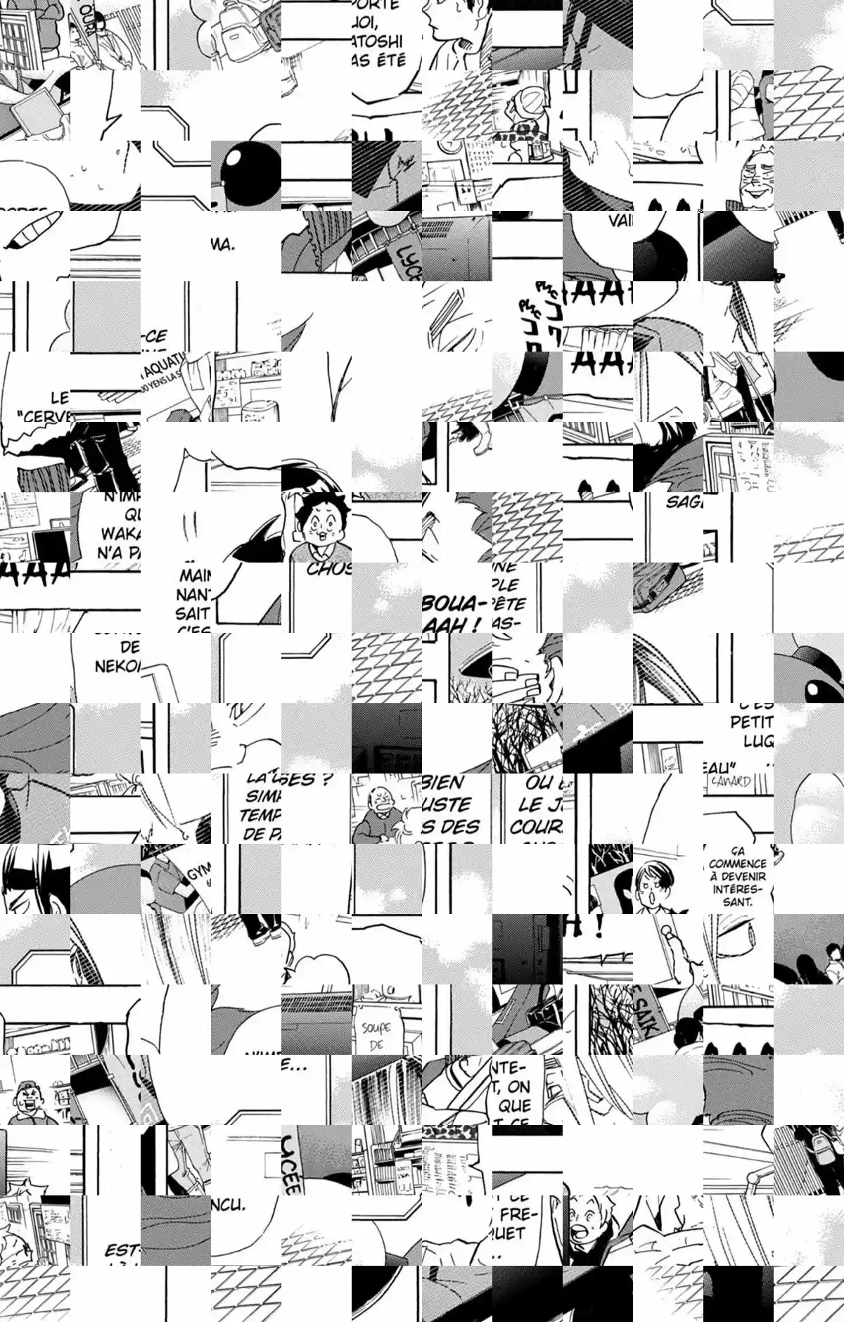 Read Haikyuu FR Manga Online