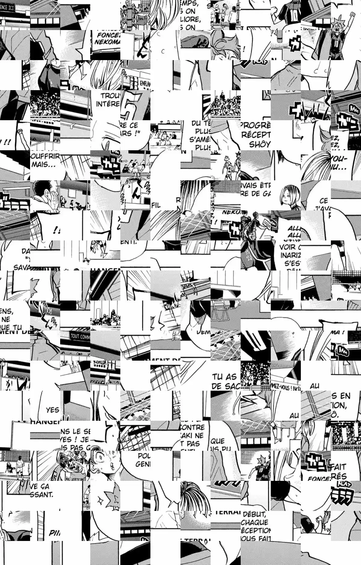 Read Haikyuu FR Manga Online