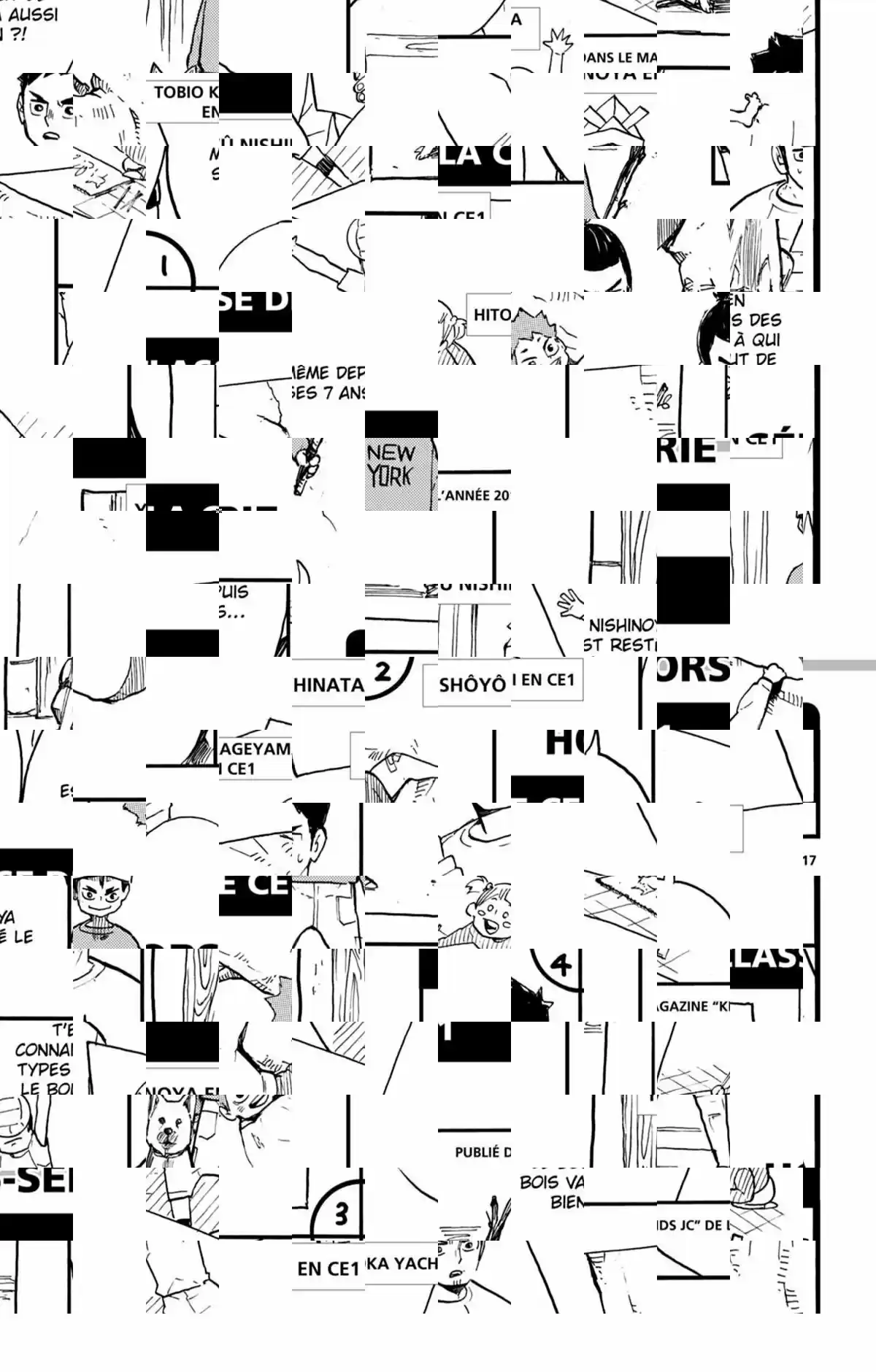 Read Haikyuu FR Manga Online