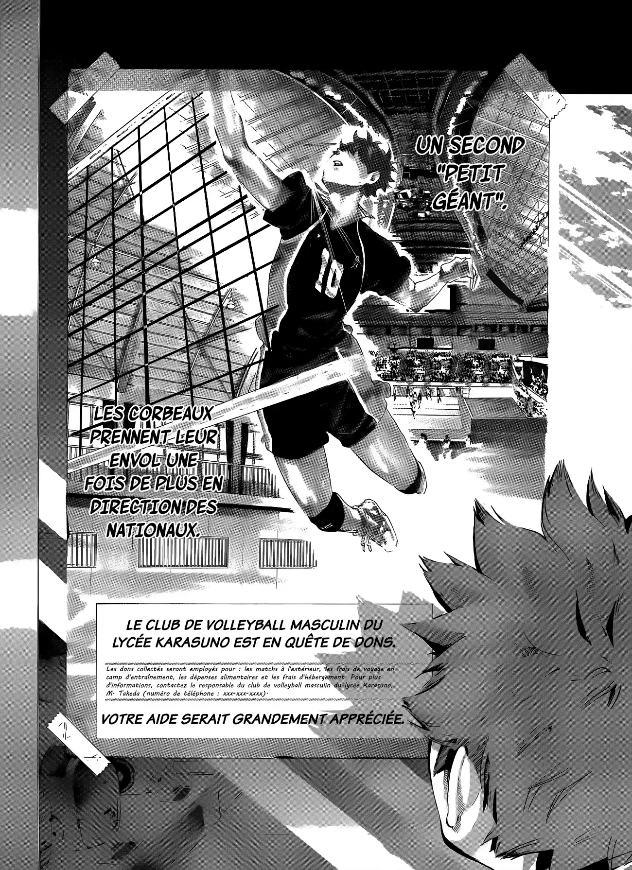 Read Haikyuu FR Manga Online