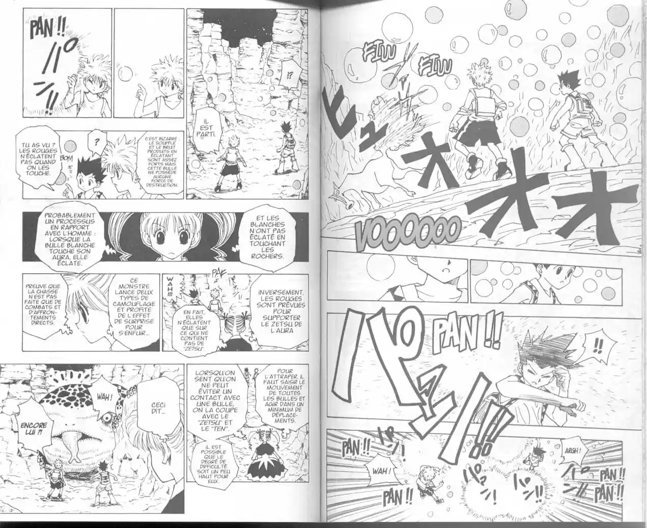 Read Hunter X Hunter FR Manga Online