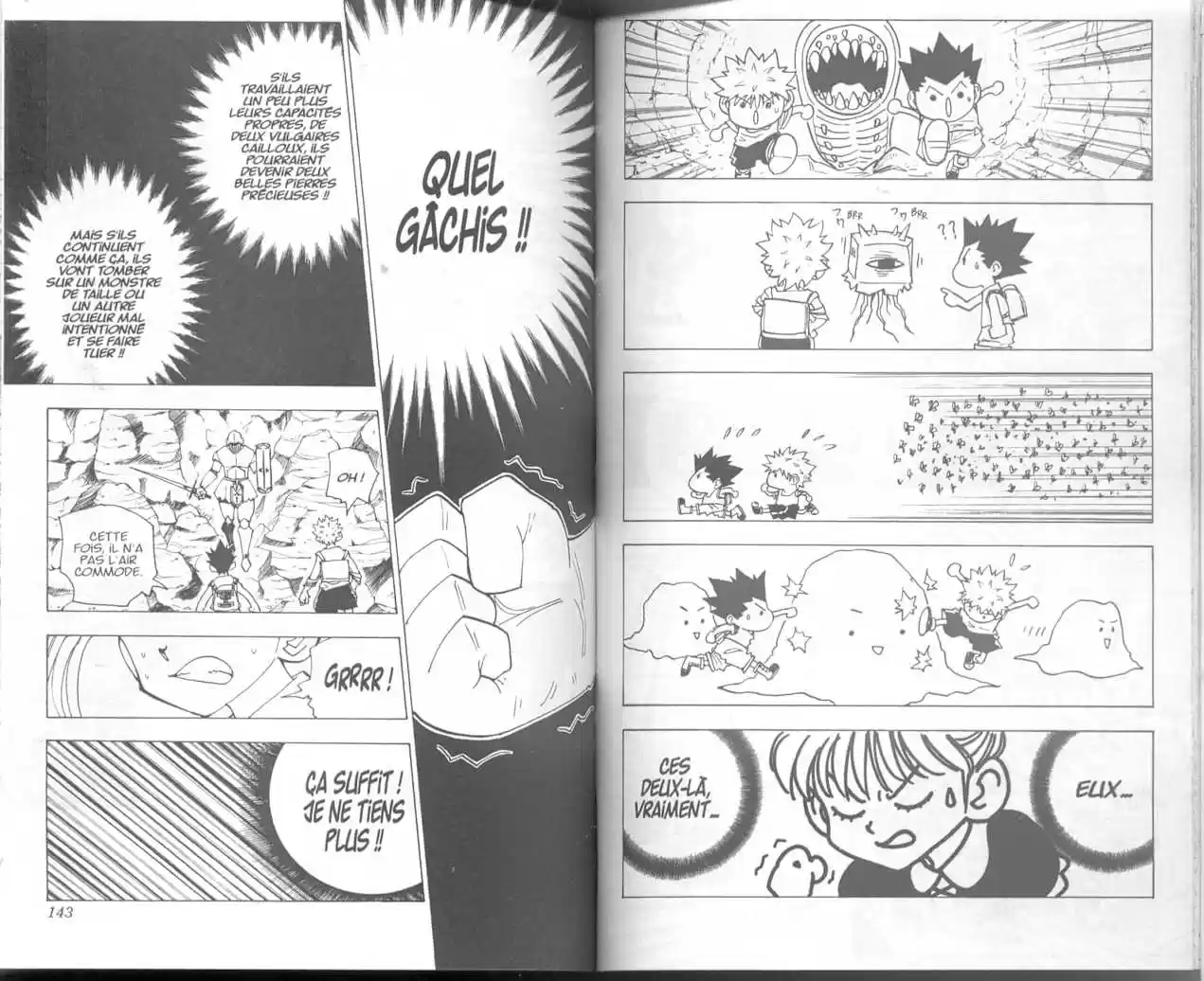 Read Hunter X Hunter FR Manga Online