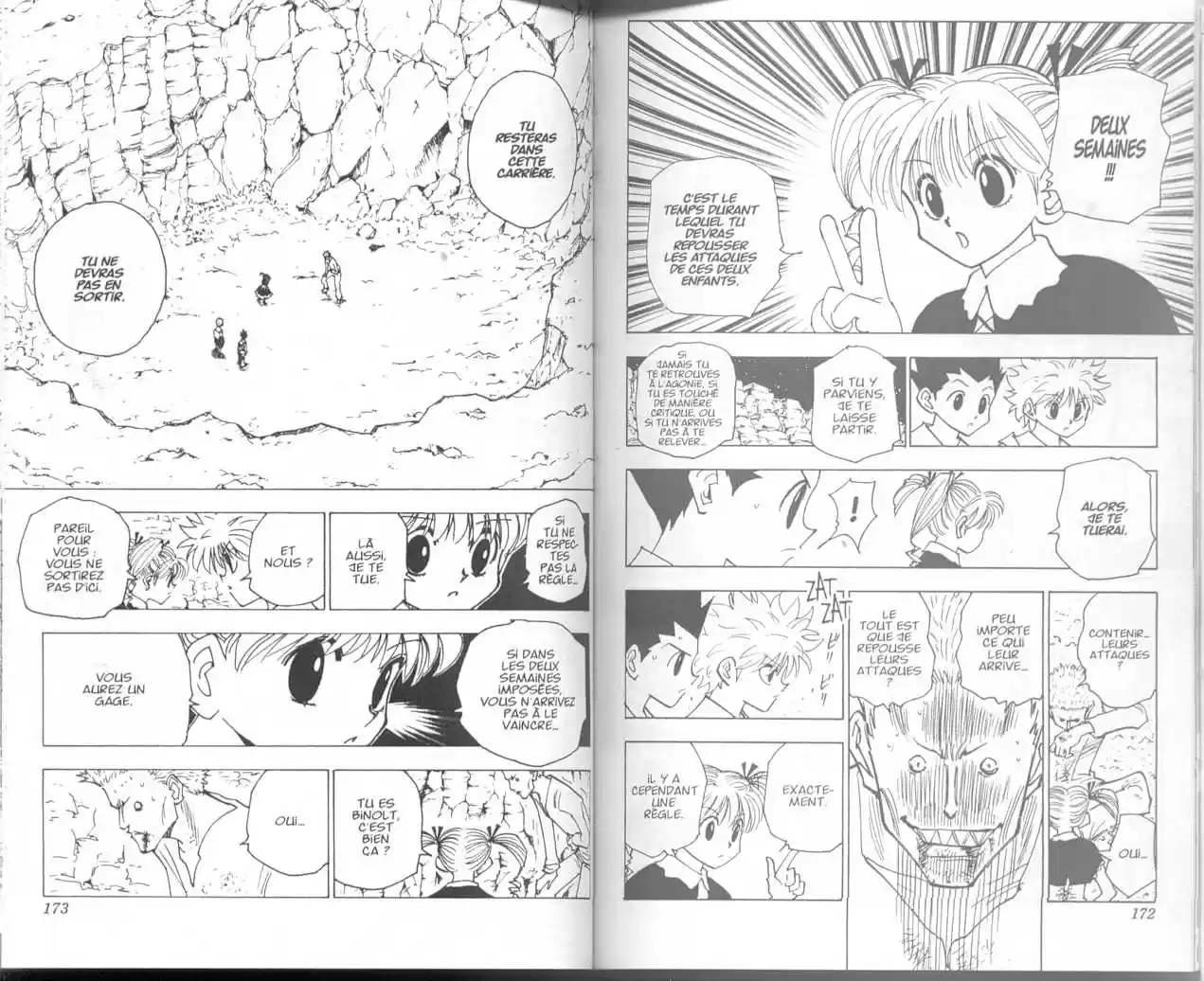Read Hunter X Hunter FR Manga Online