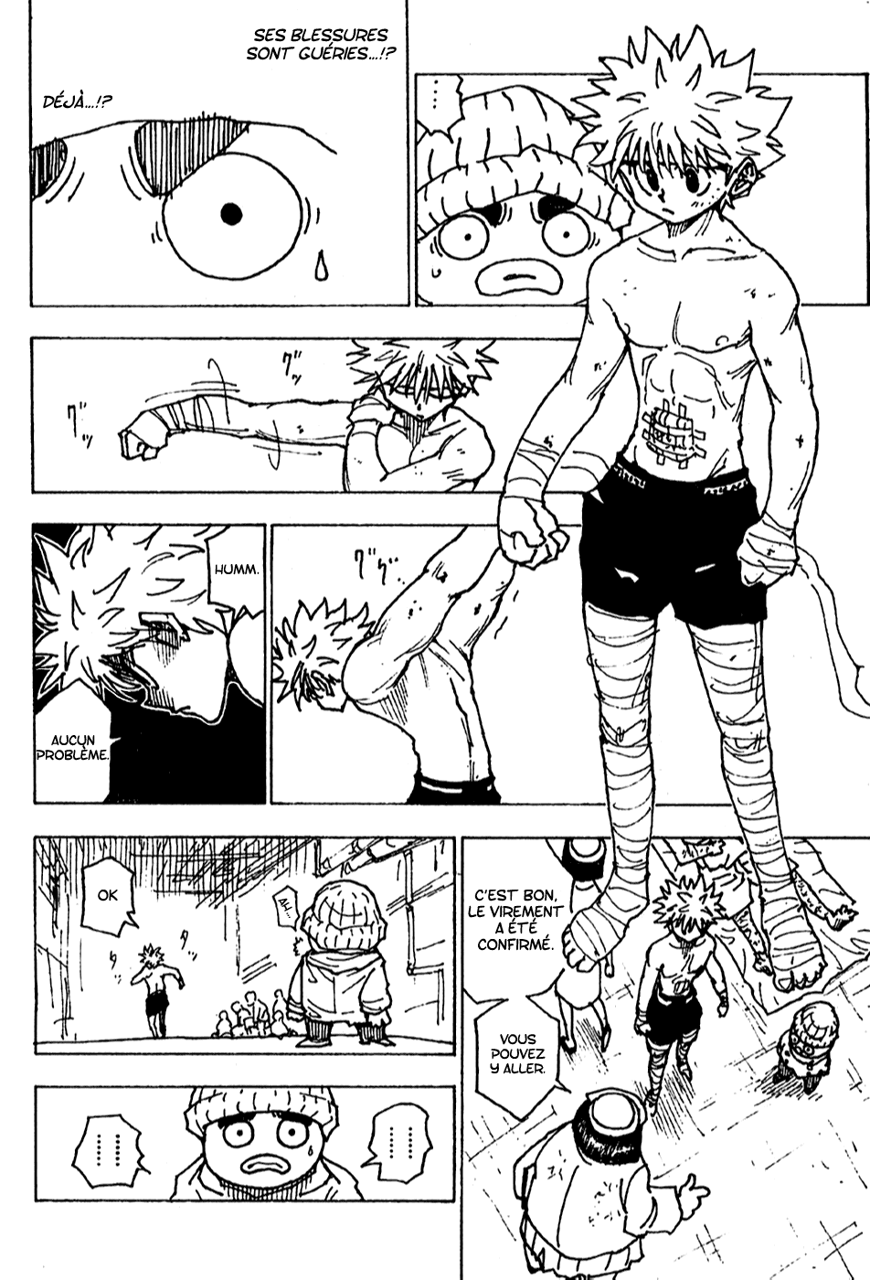 Read Hunter X Hunter FR Manga Online