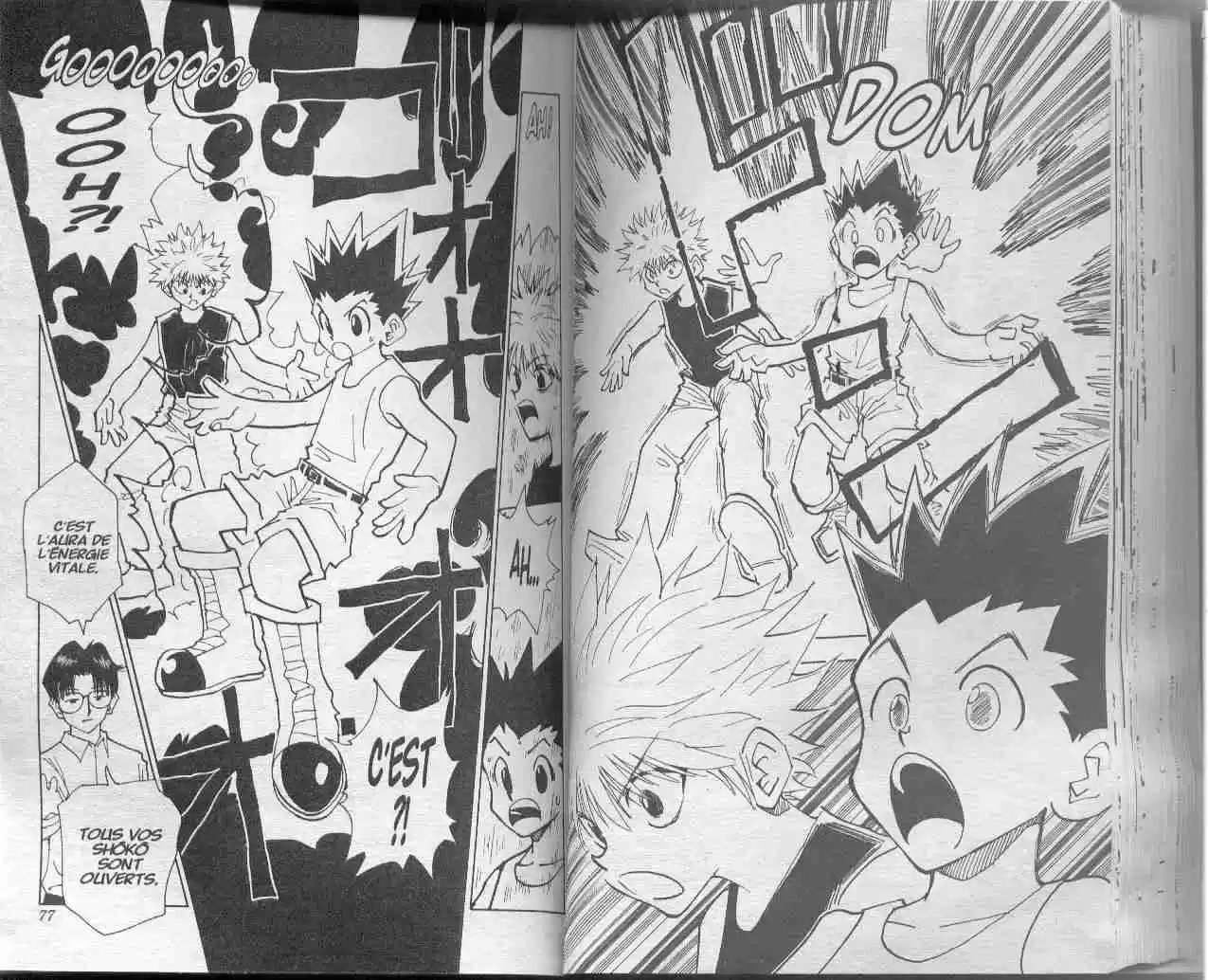 Read Hunter X Hunter FR Manga Online