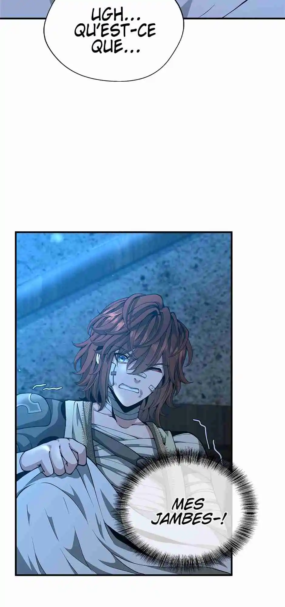 Read The Beginning After the End FR Manga Online