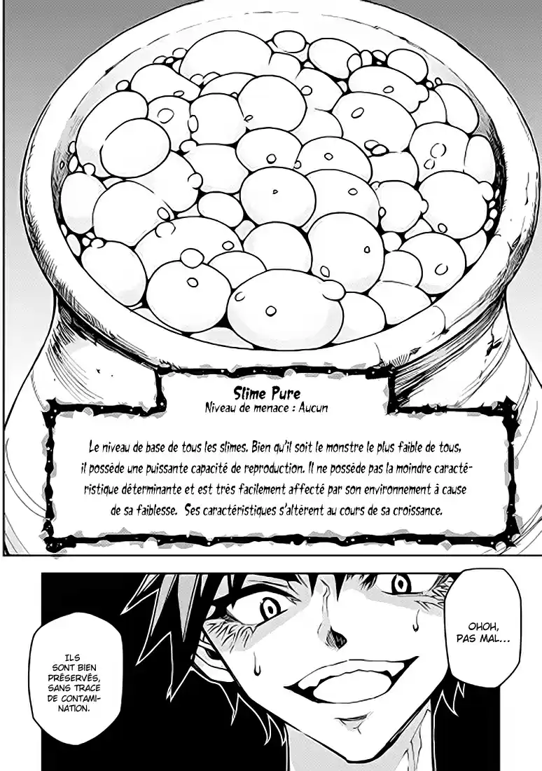 Read The Dungeon Seeker FR Manga Online