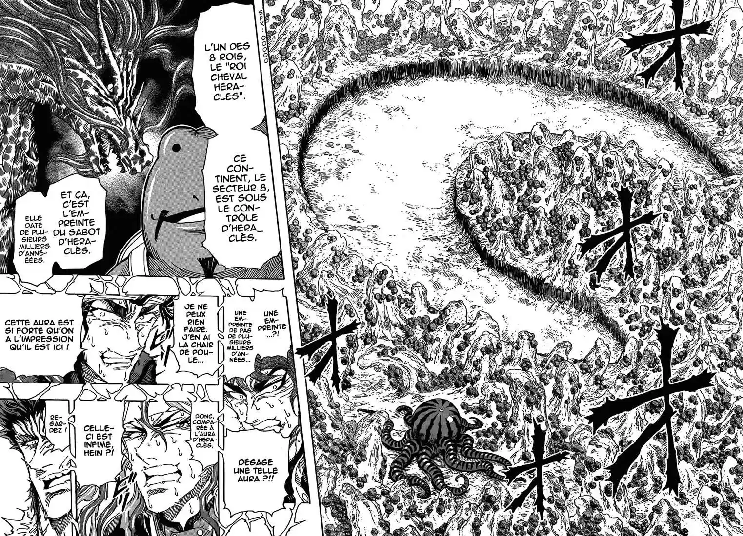Read Toriko FR Manga Online
