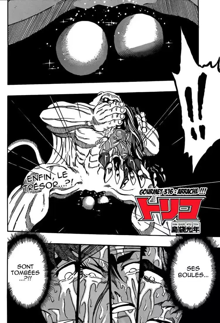 Read Toriko FR Manga Online