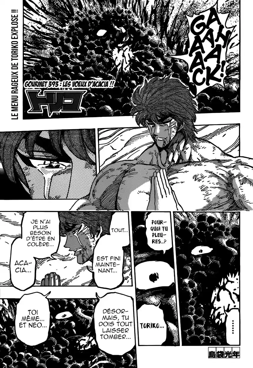 Read Toriko FR Manga Online