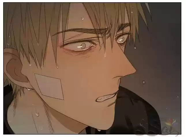 Read 19 Days pt_BR Manga Online