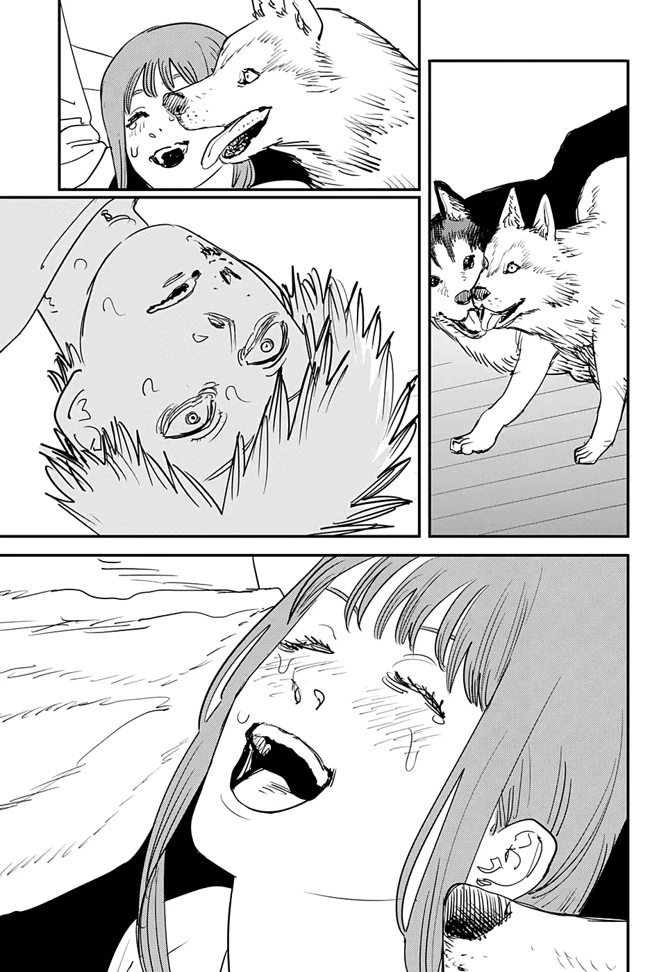 Read Chainsaw Man pt_BR Manga Online