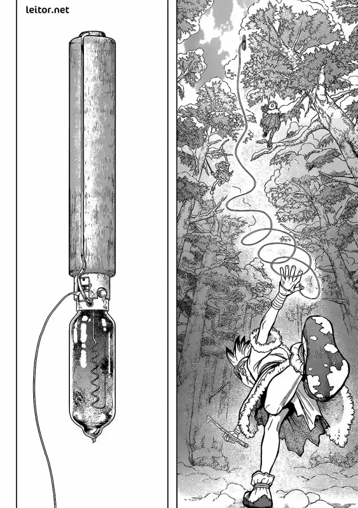 Read Dr. Stone pt_BR Manga Online
