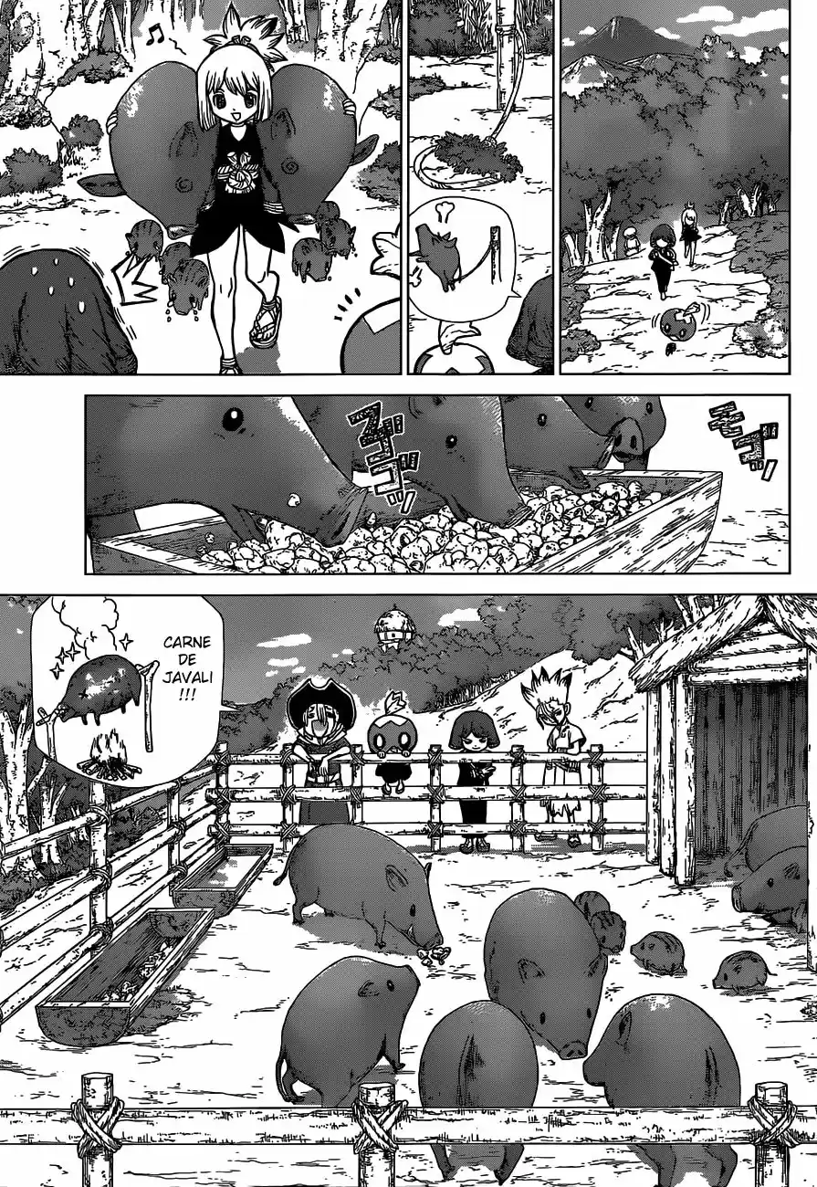 Read Dr. Stone pt_BR Manga Online