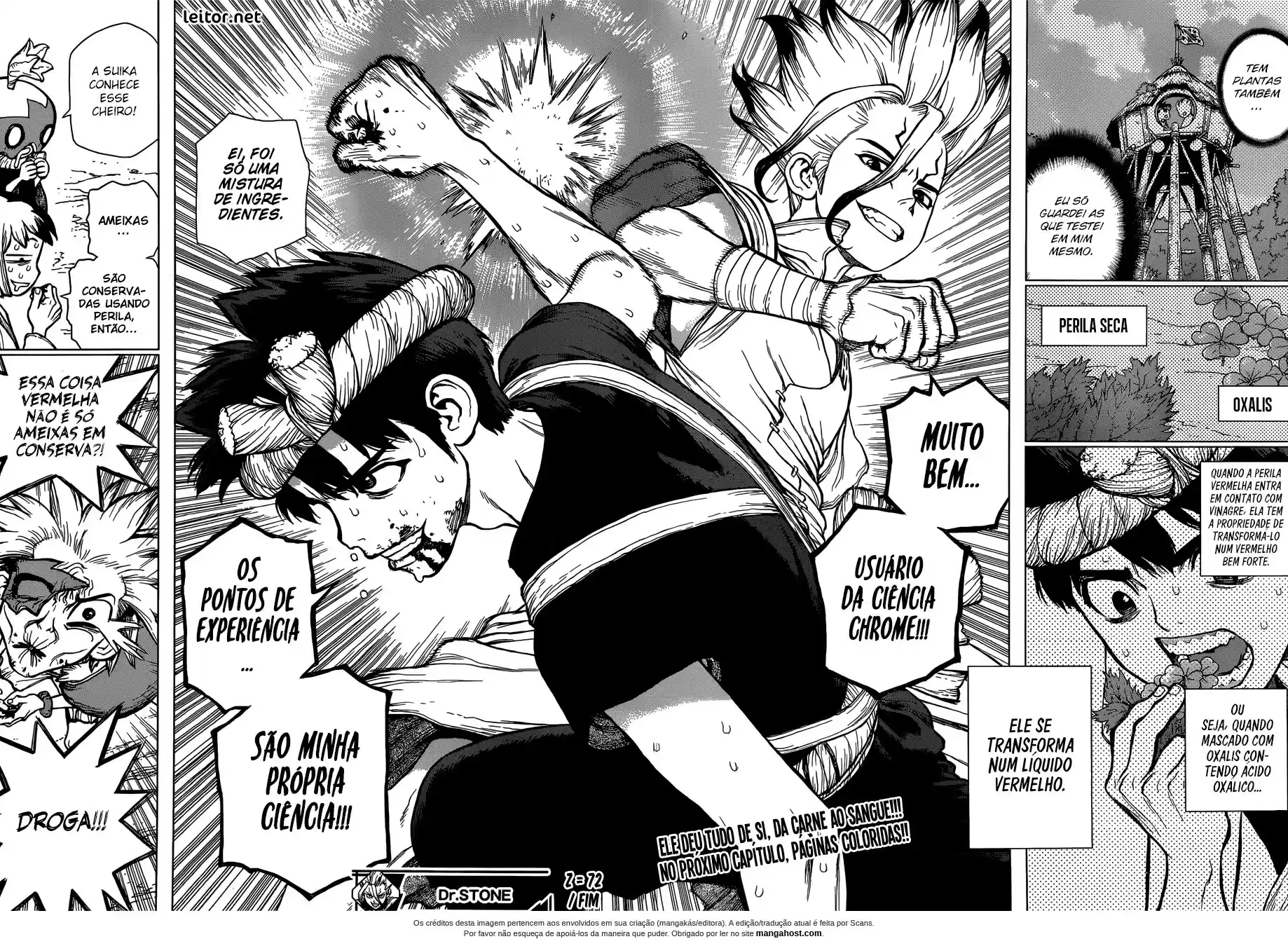 Read Dr. Stone pt_BR Manga Online