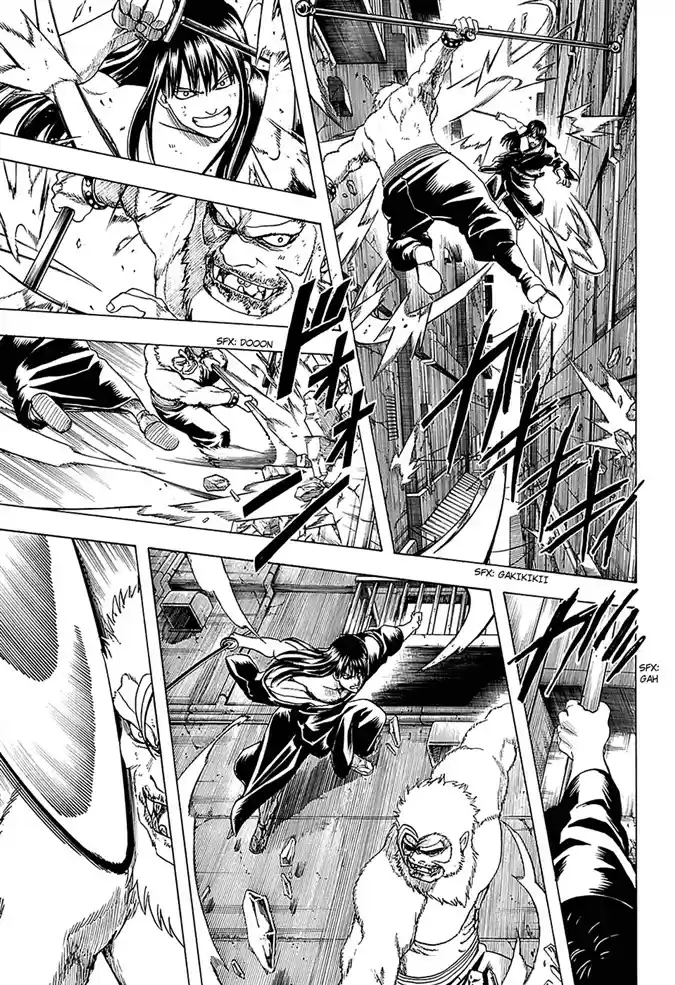 Read Gintama pt_BR Manga Online