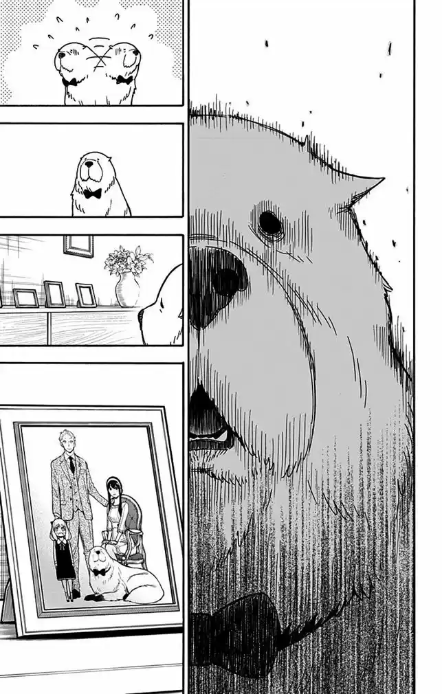 Read Spy X Family pt_BR Manga Online